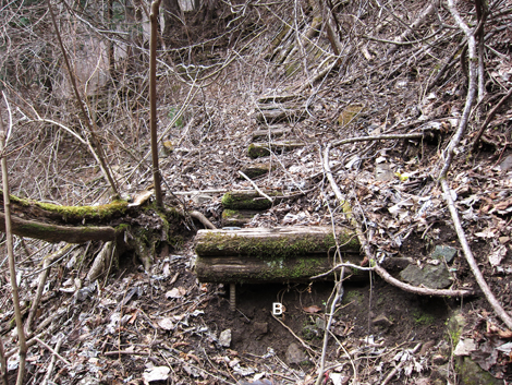 20200204hike (416)